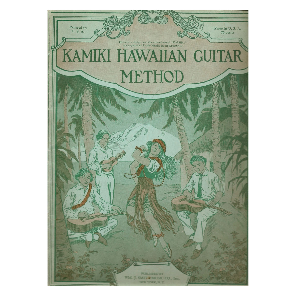 Hawaiian guitar online buy online