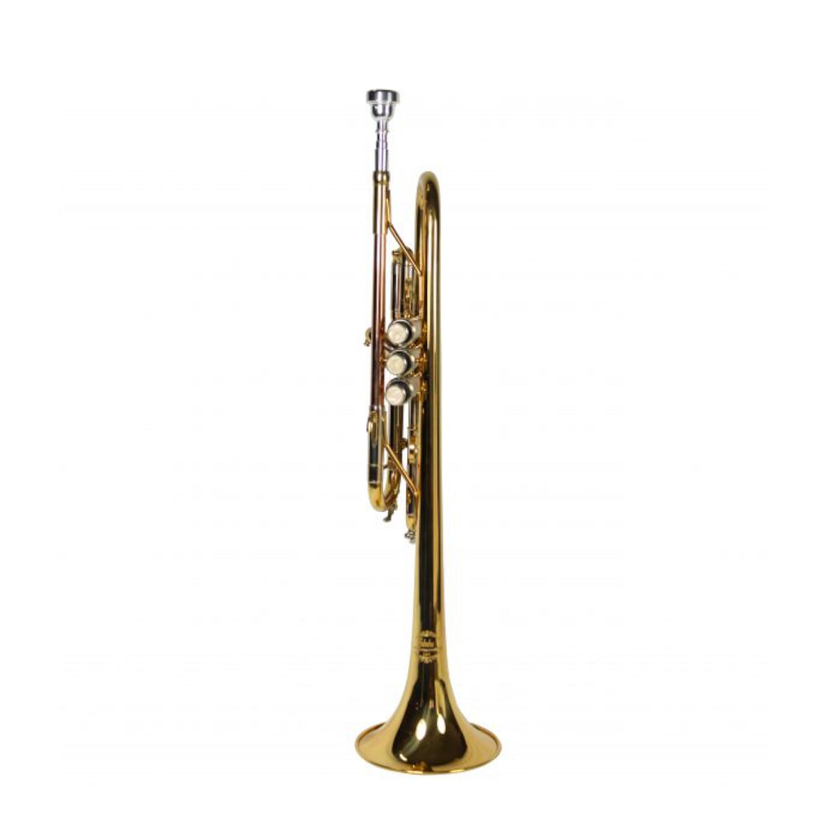 Jinbao, Trumpet -Lacquered JBTR300L